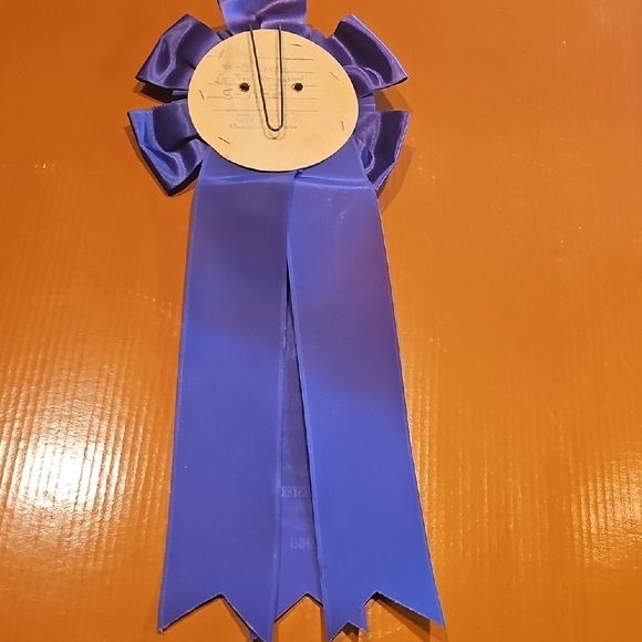 4 Vintage original 1967 1968 Horse Show Rosettes Bosque Farms Rodeo Ass'n - Picture 10 of 15